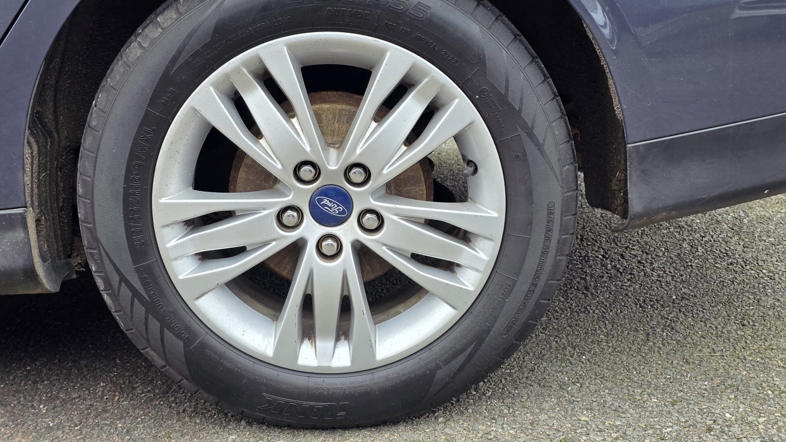 WhatsApp Image 2026-02-18 at 11.52