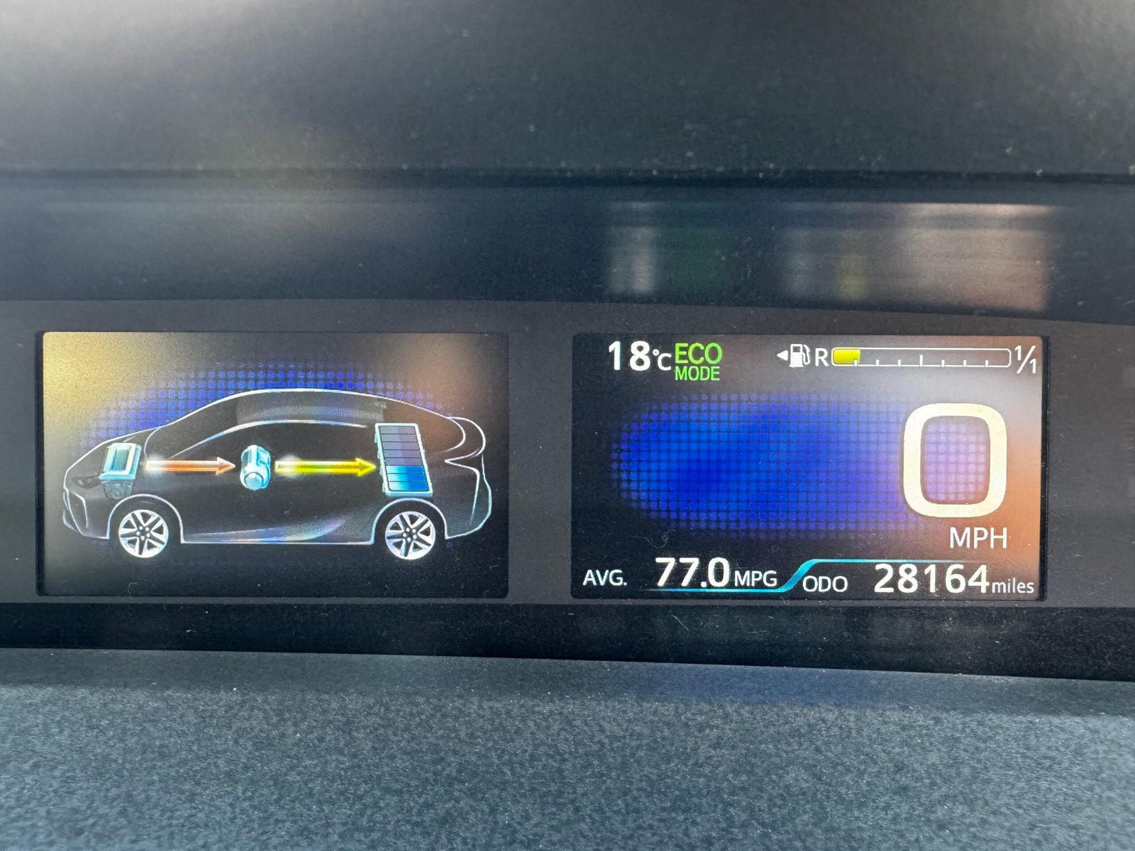 IMG_7299